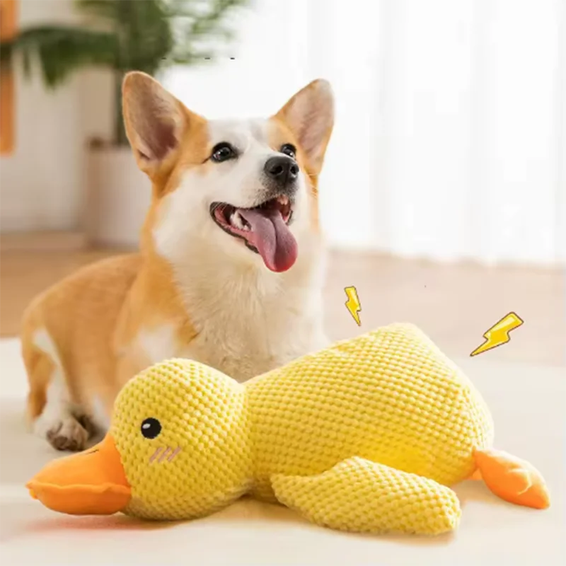 Stomping Duck