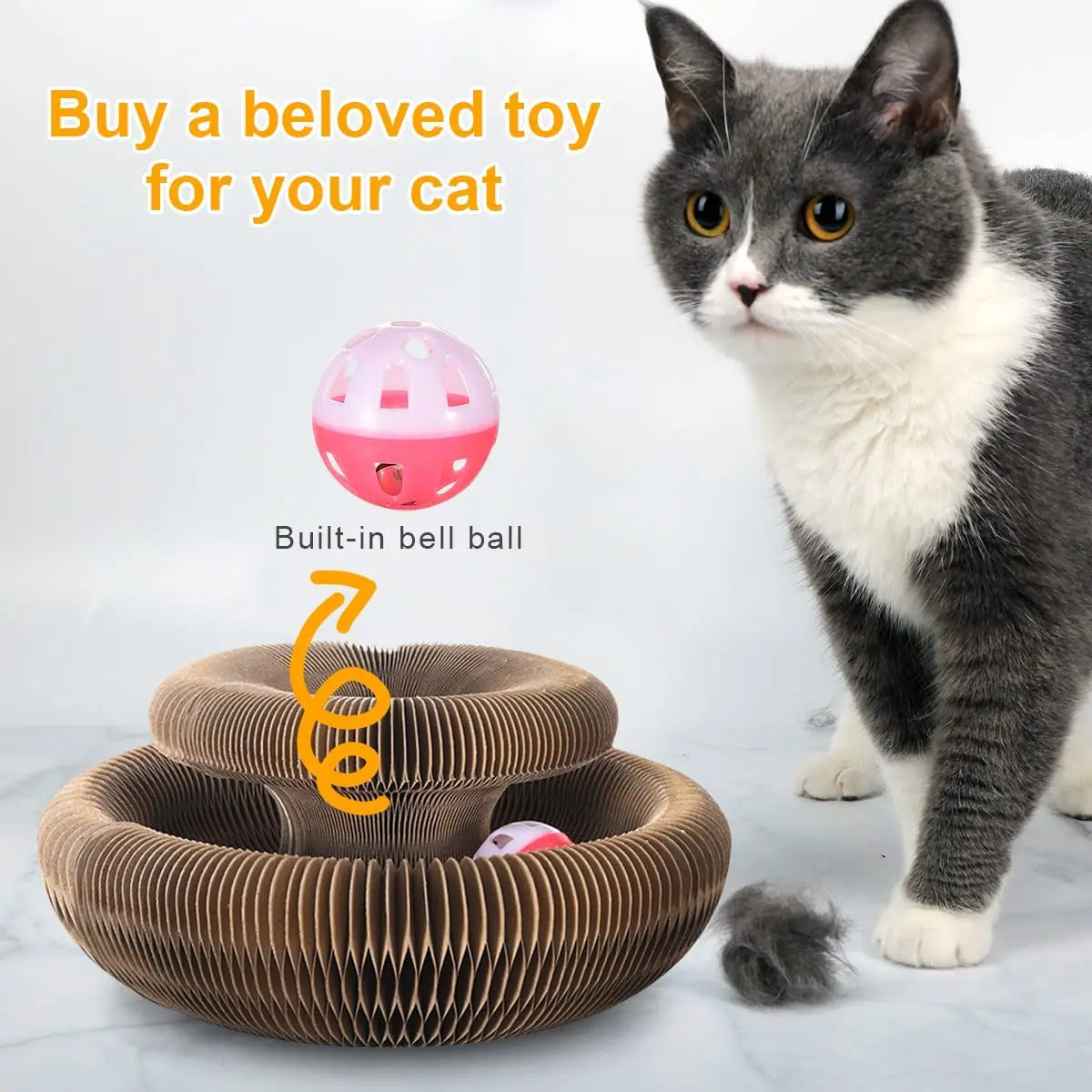 Magic Cat Scratcher & Toy