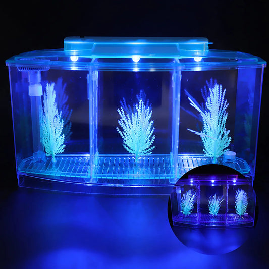 Aquarium Fish Tank