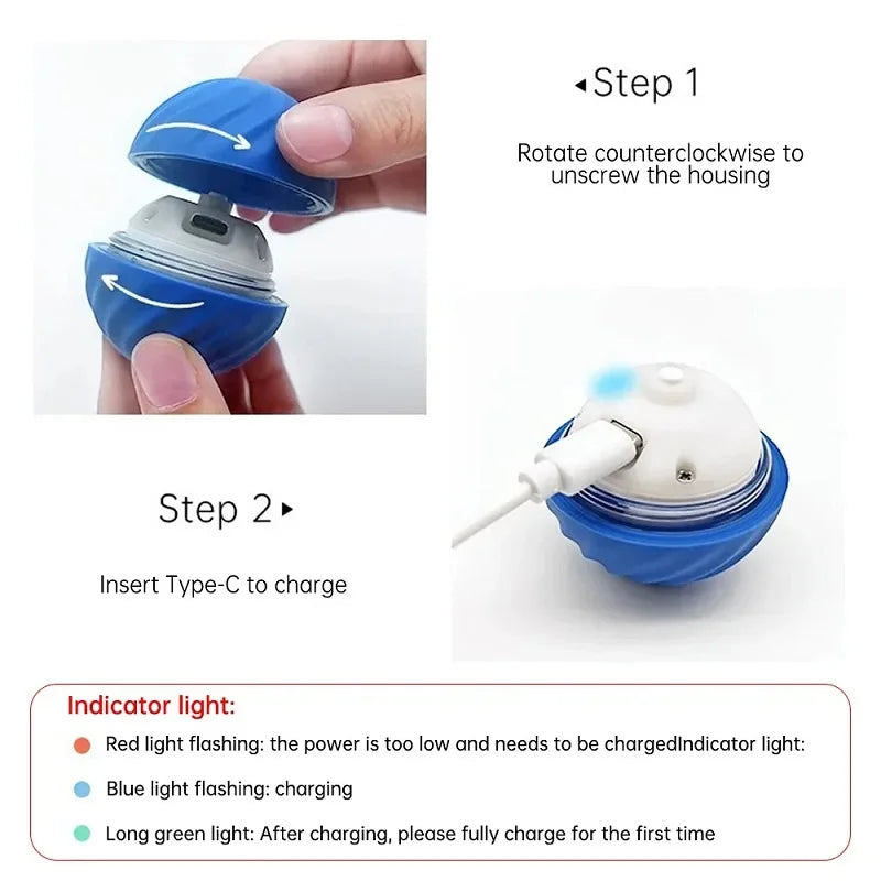 Bouncing Dog Ball