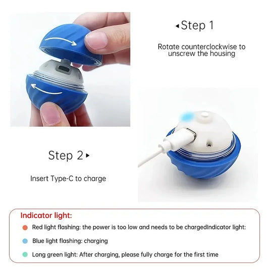 Bouncing Dog Ball