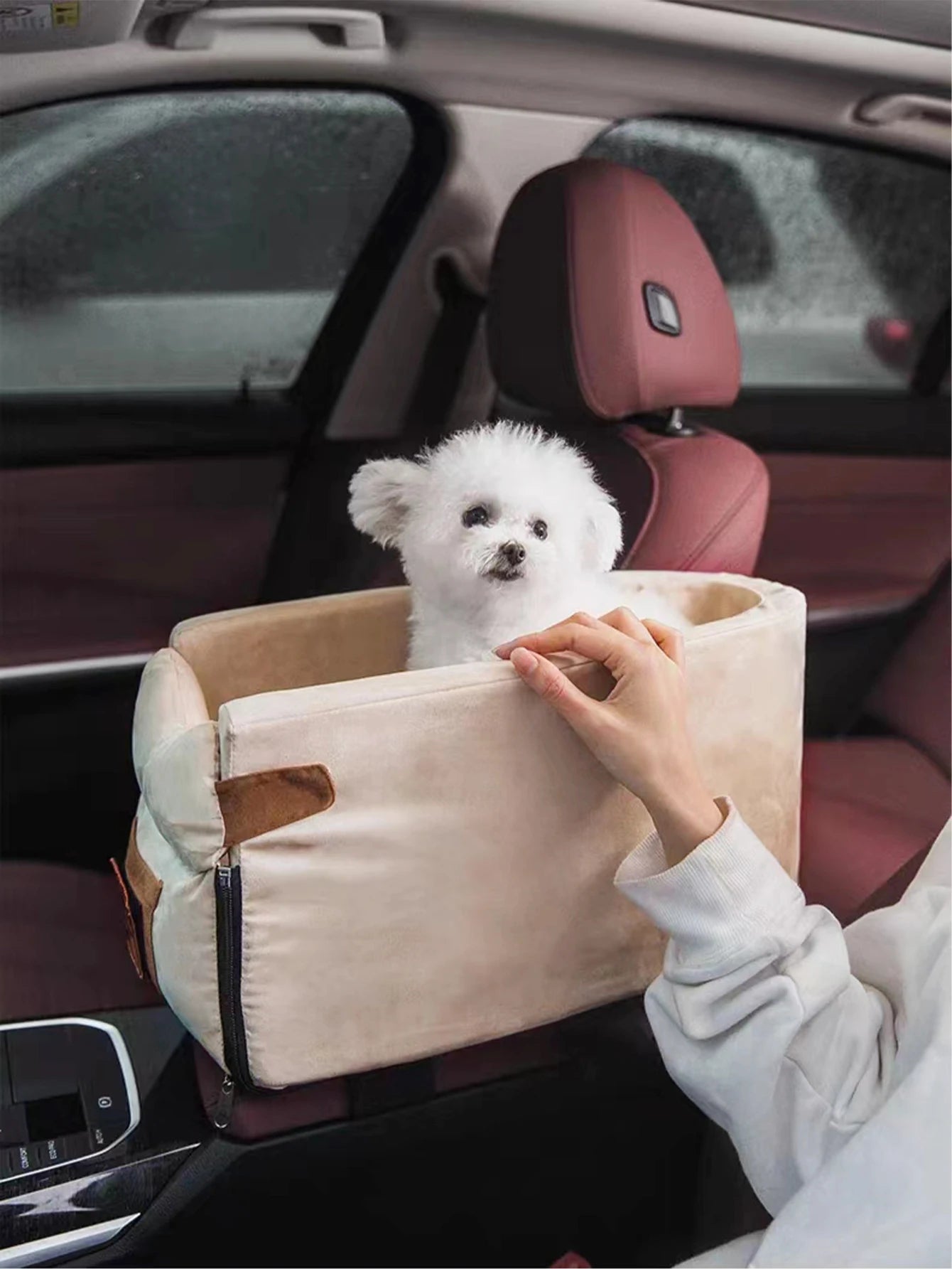 Car Basket