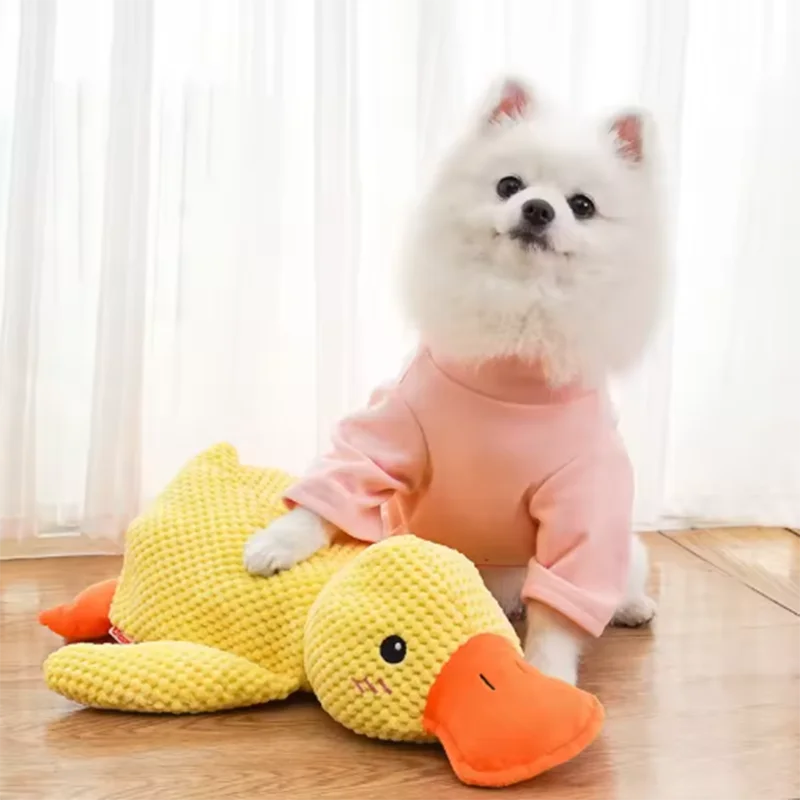 Stomping Duck