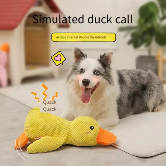 Stomping Duck