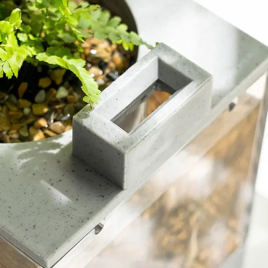 Small Aquarium with Built-in Oxygen Bar