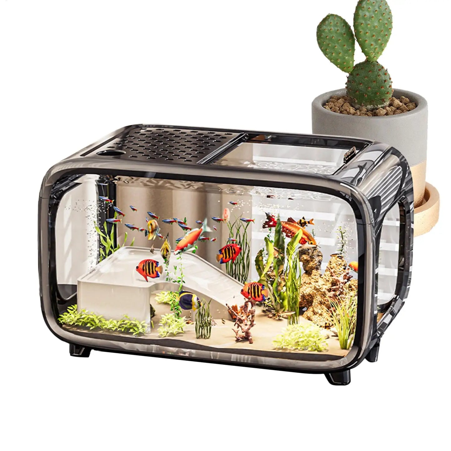 Aquarium Fish Tank