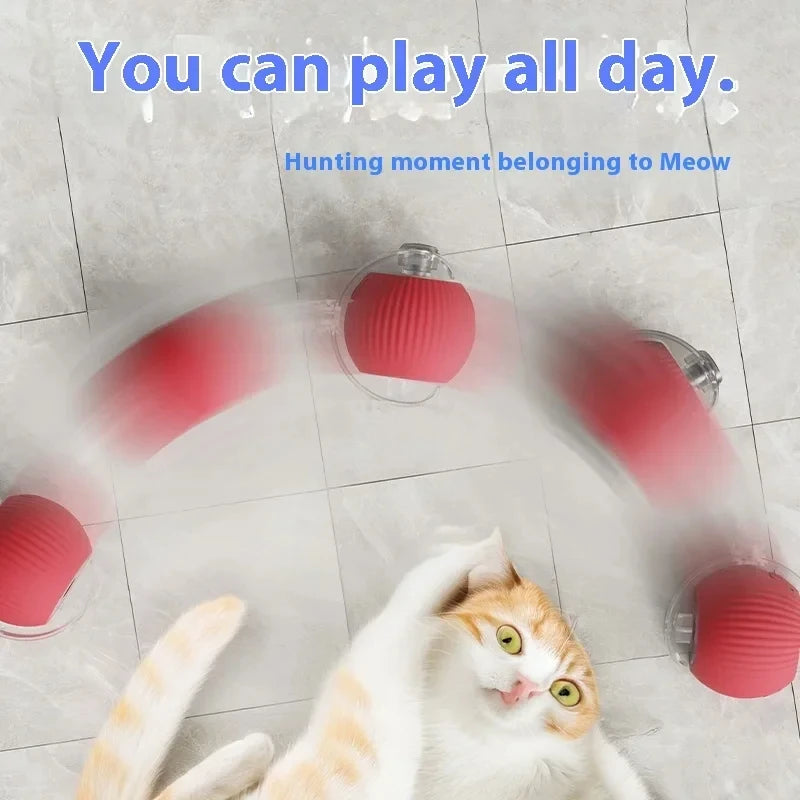 Cat toy ball