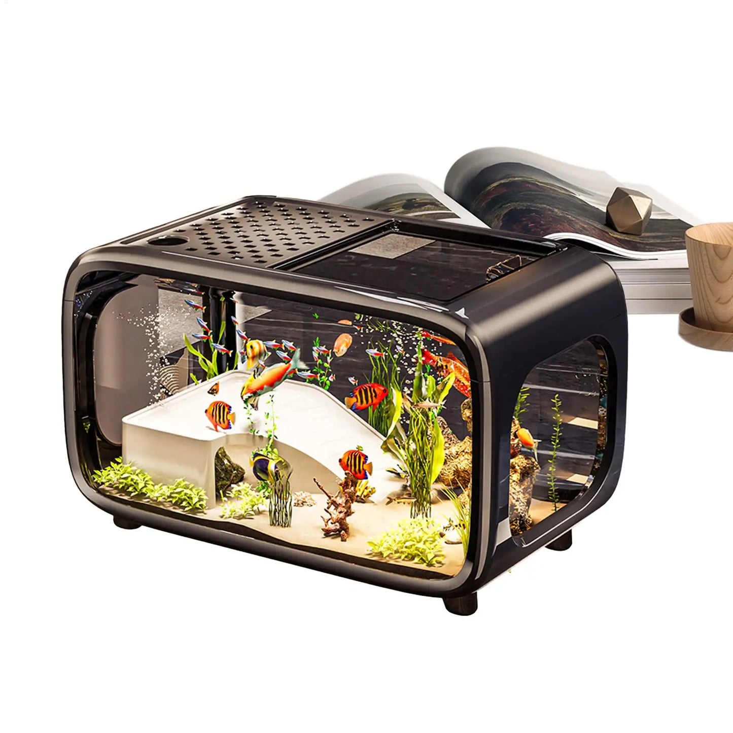 Aquarium Fish Tank