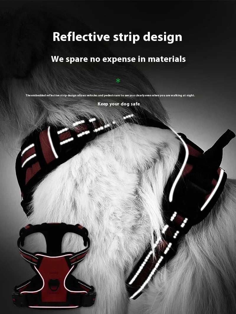 Dog collar, harness