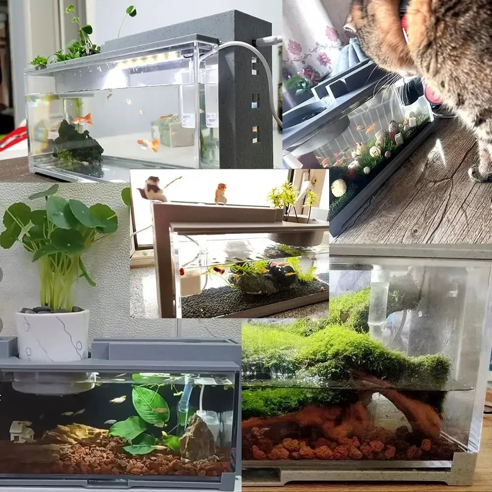 Small Aquarium with Built-in Oxygen Bar