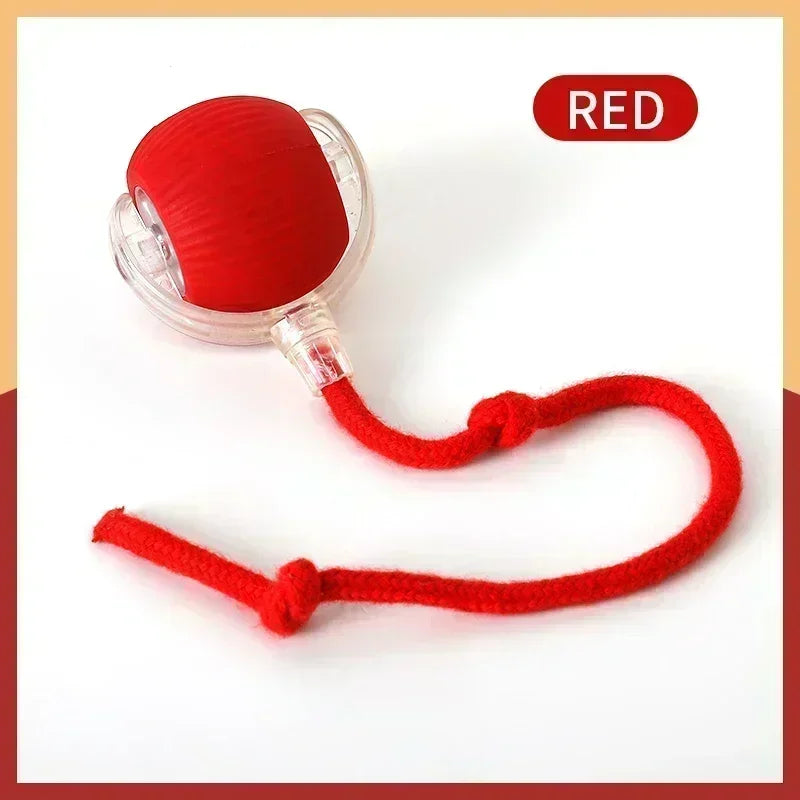 Interactive Toy Ball