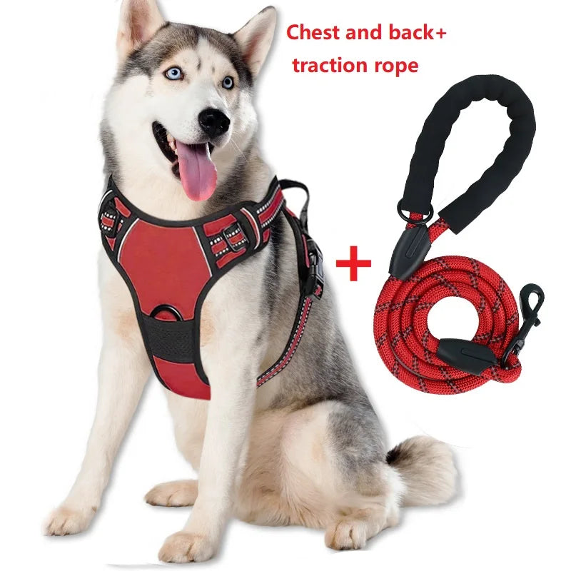 Dog collar, harness