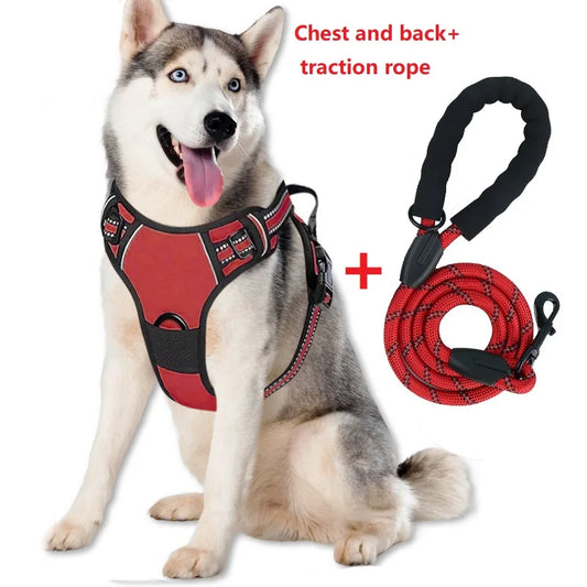 Dog collar, harness