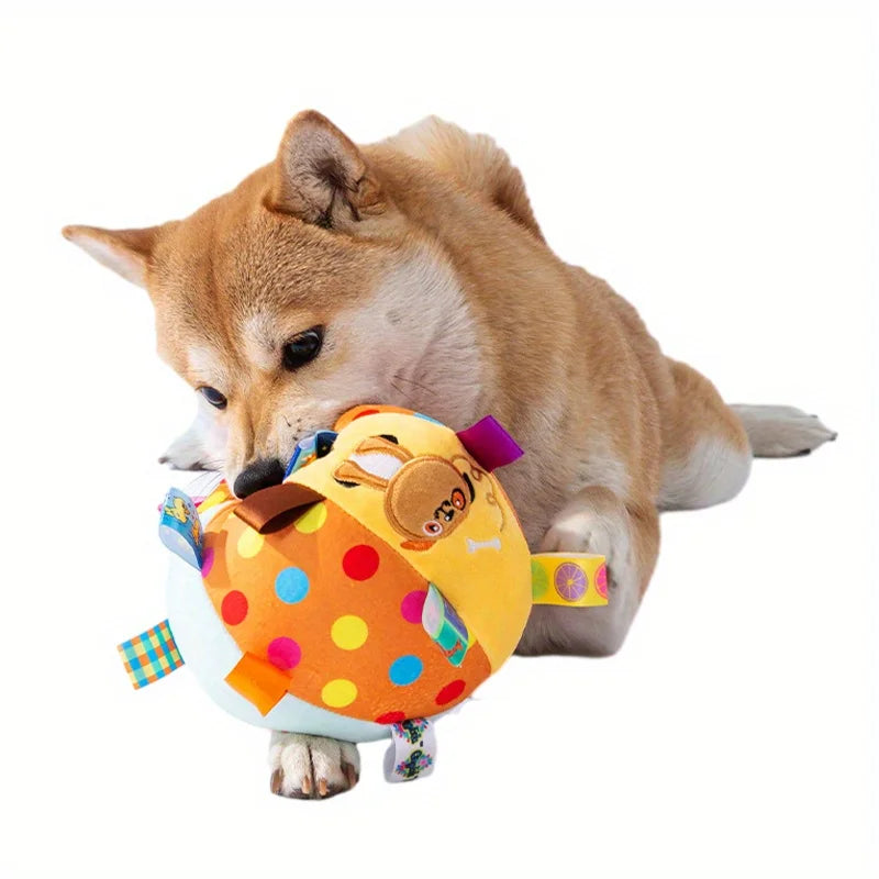 Interactive Ball