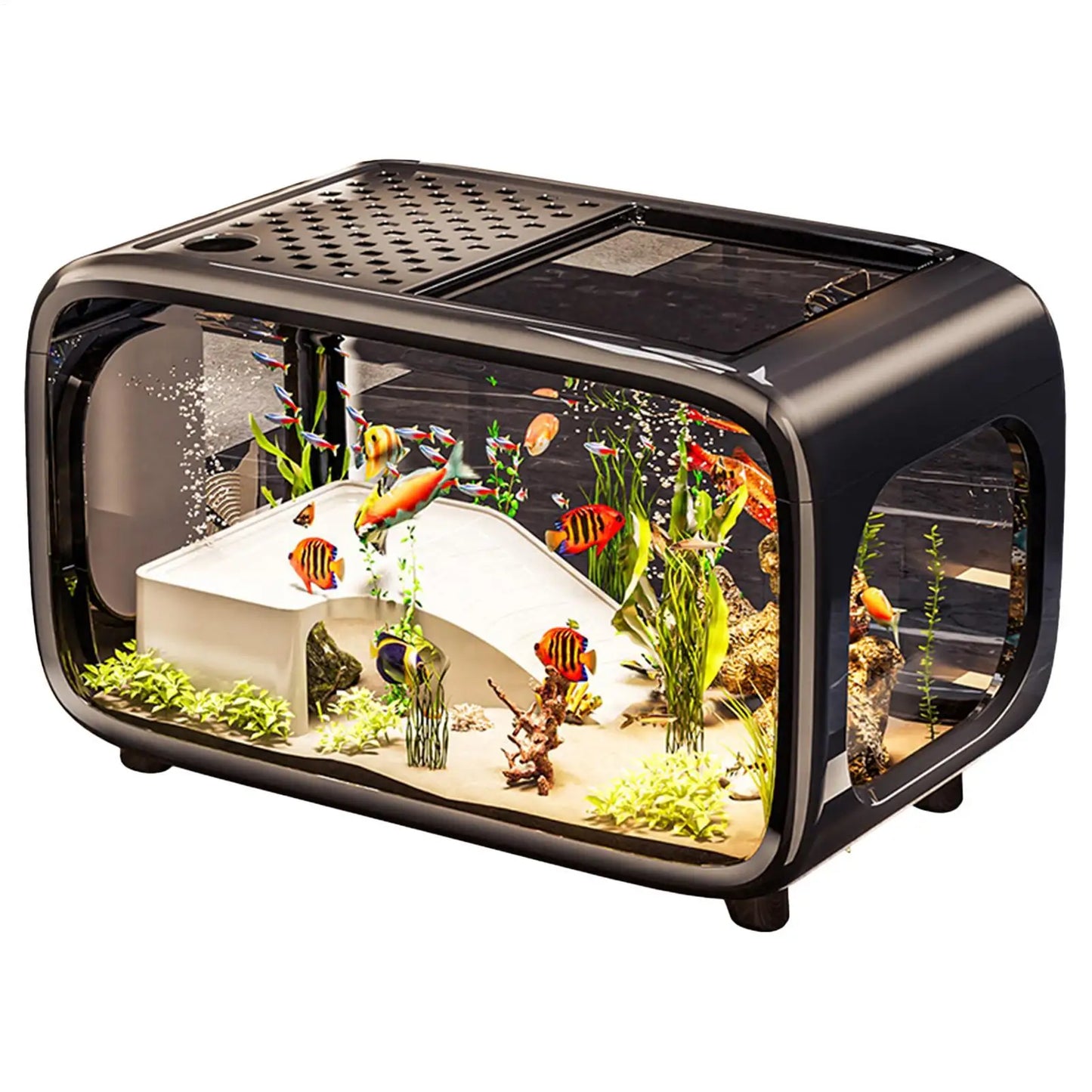 Aquarium Fish Tank