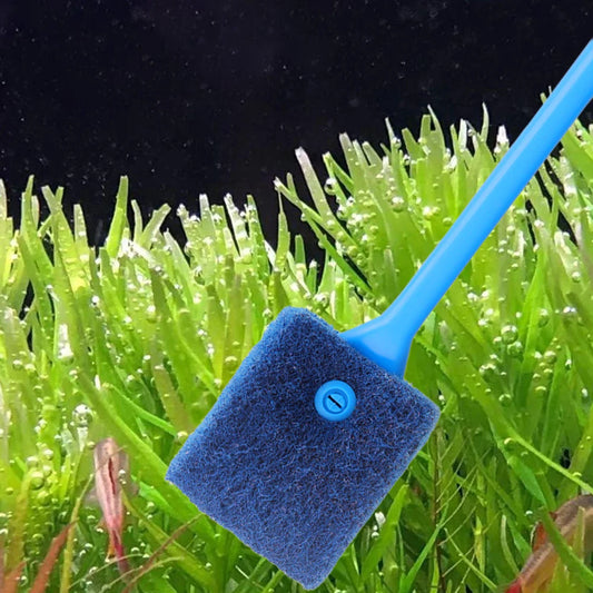 Double Sided Algae Scraper Sponge