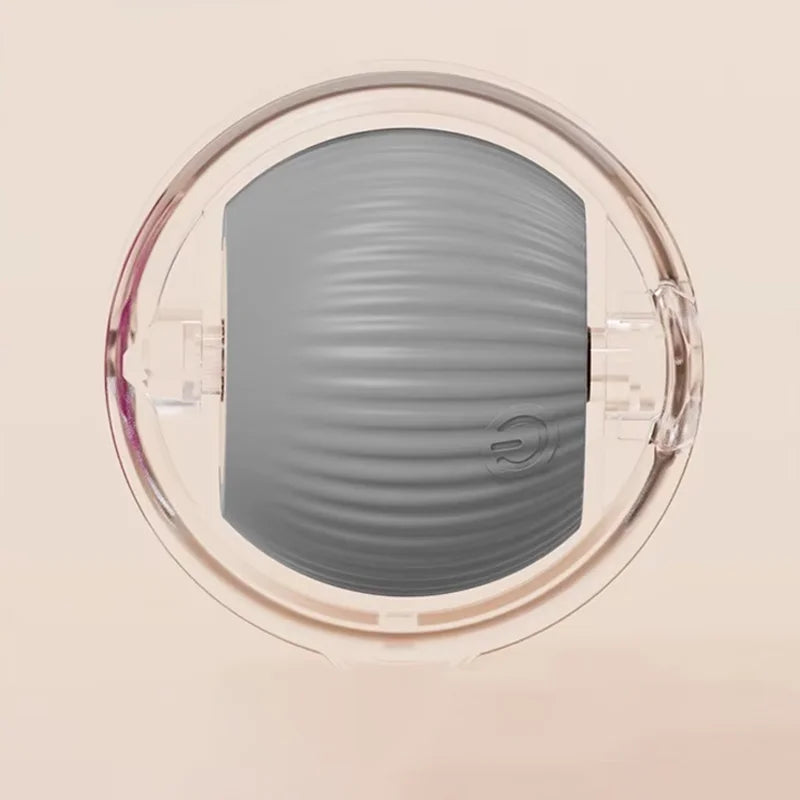 Cat toy ball