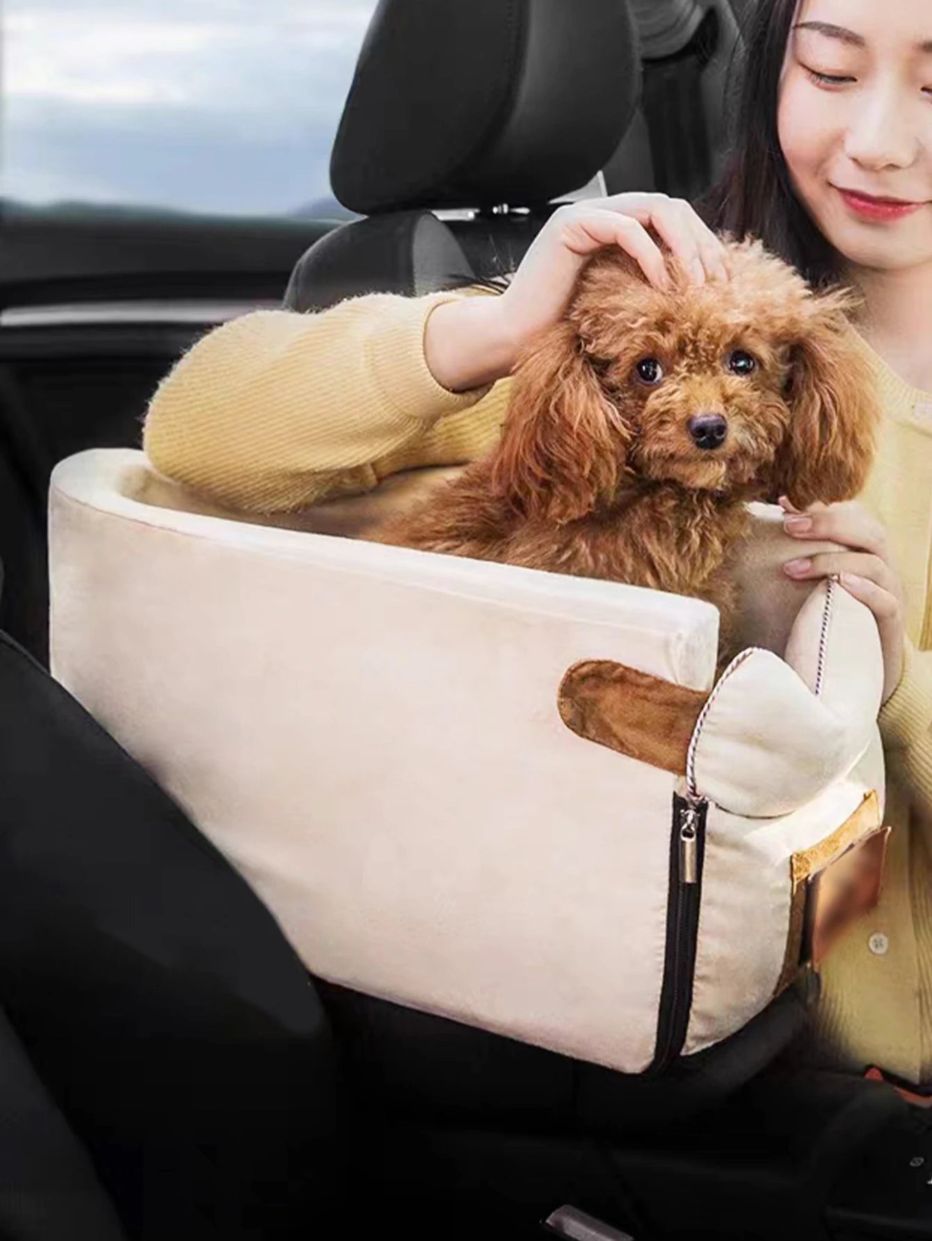 Car Basket