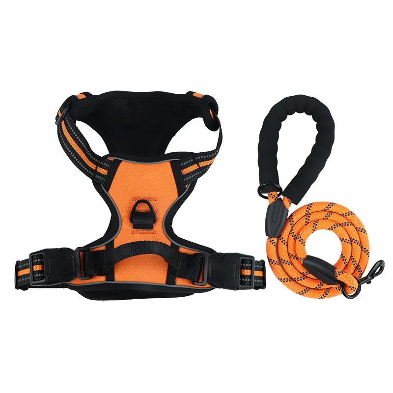 Dog collar, harness
