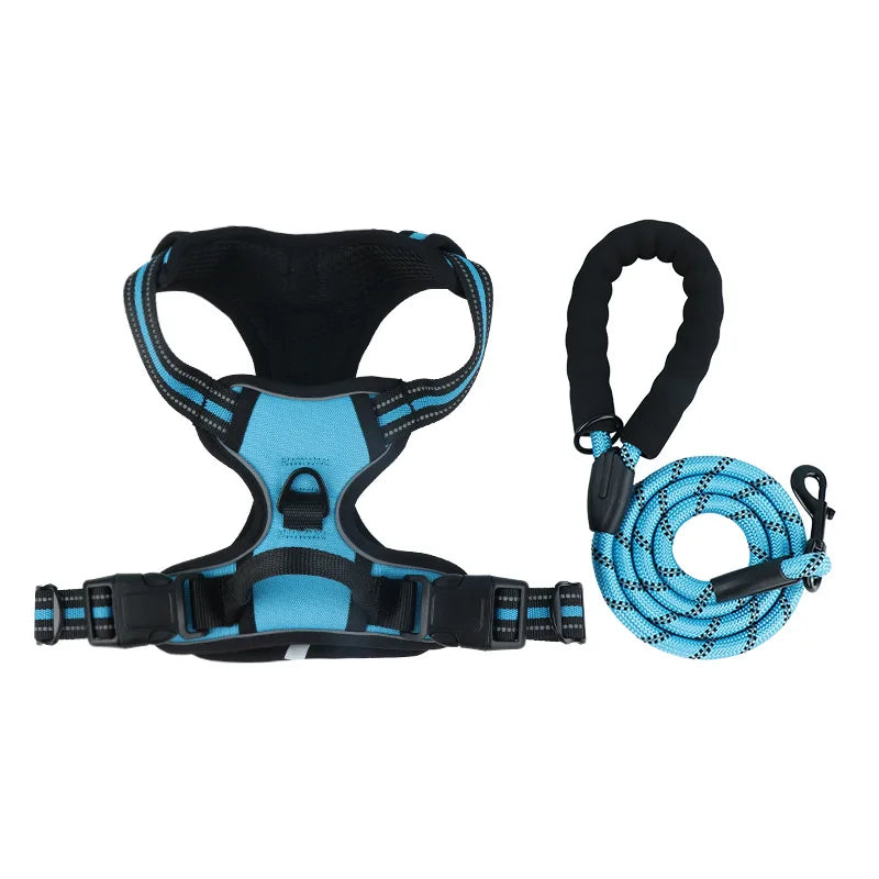 Dog collar, harness