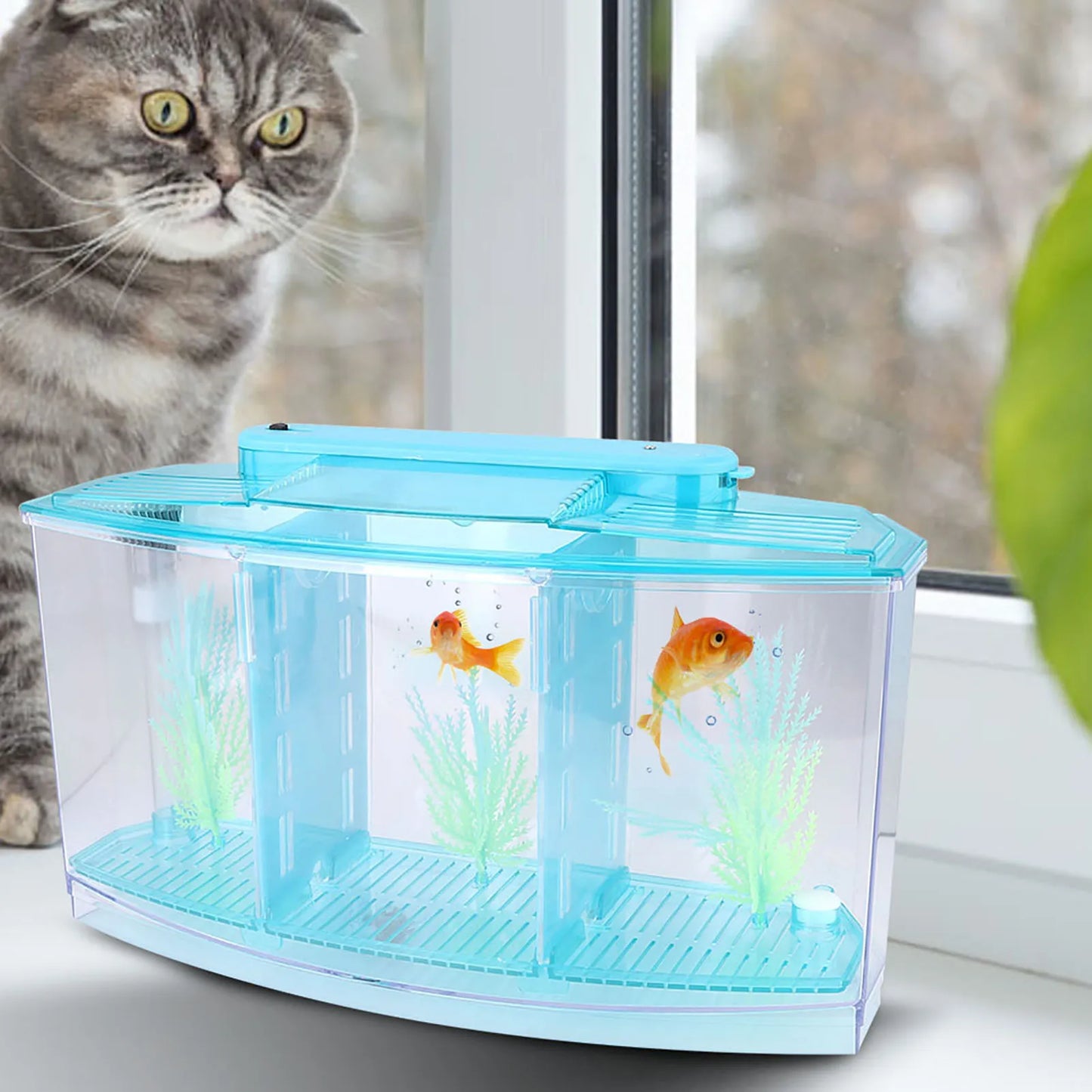 Aquarium Fish Tank