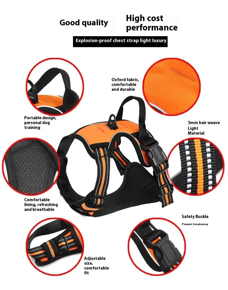 Dog collar, harness