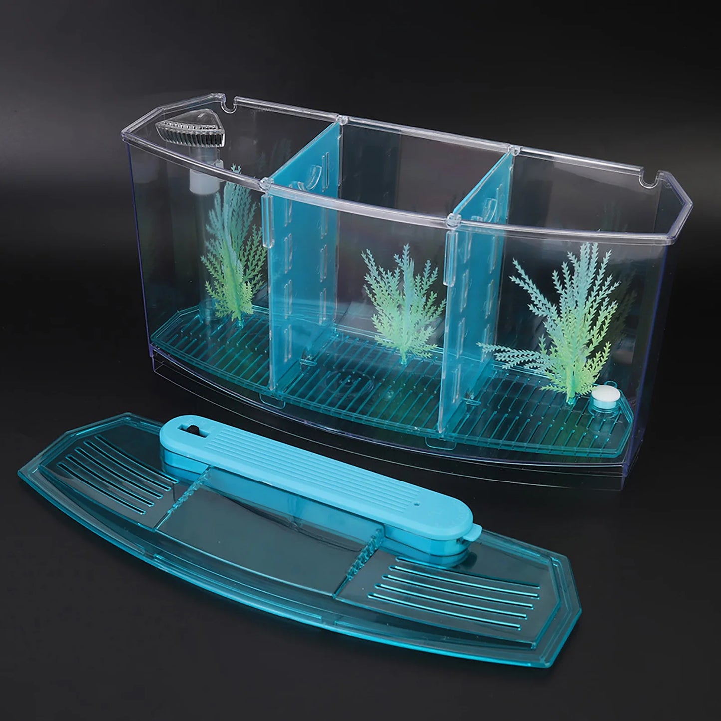 Aquarium Fish Tank