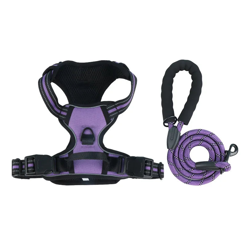 Dog collar, harness