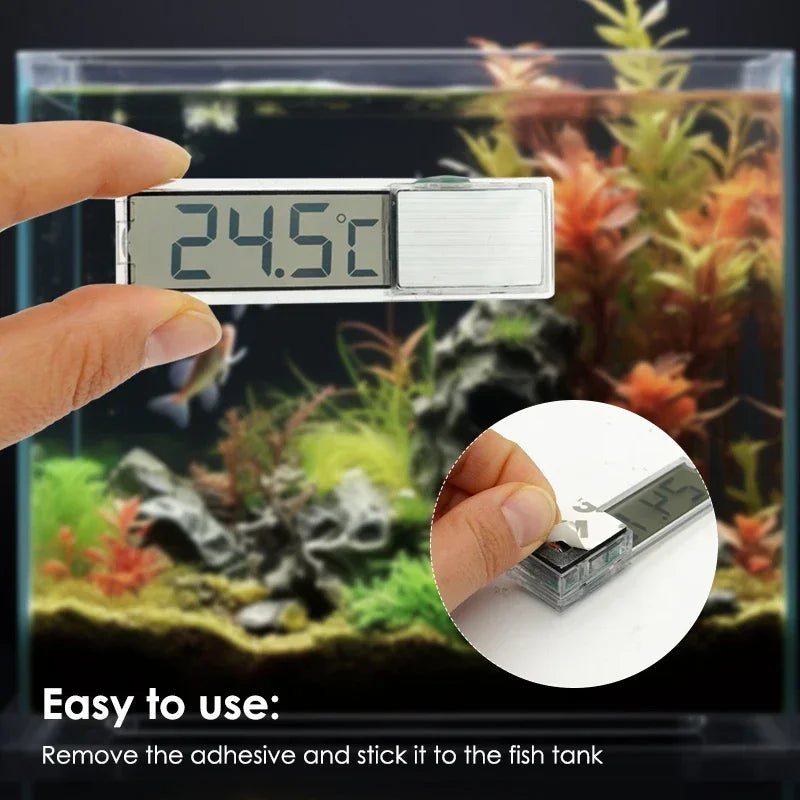 Digital Thermometer