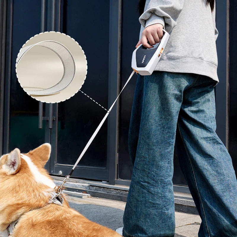 5m dog leash