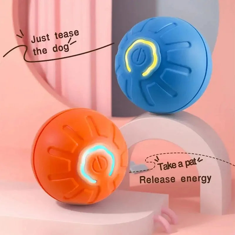 Bouncing Dog Ball