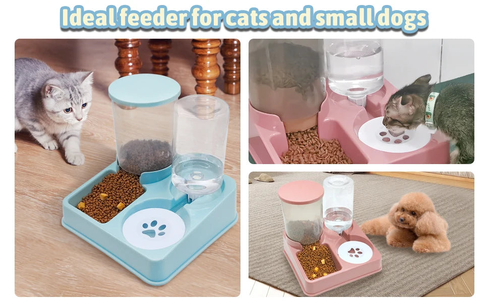 Automatic Cat Feeder Set