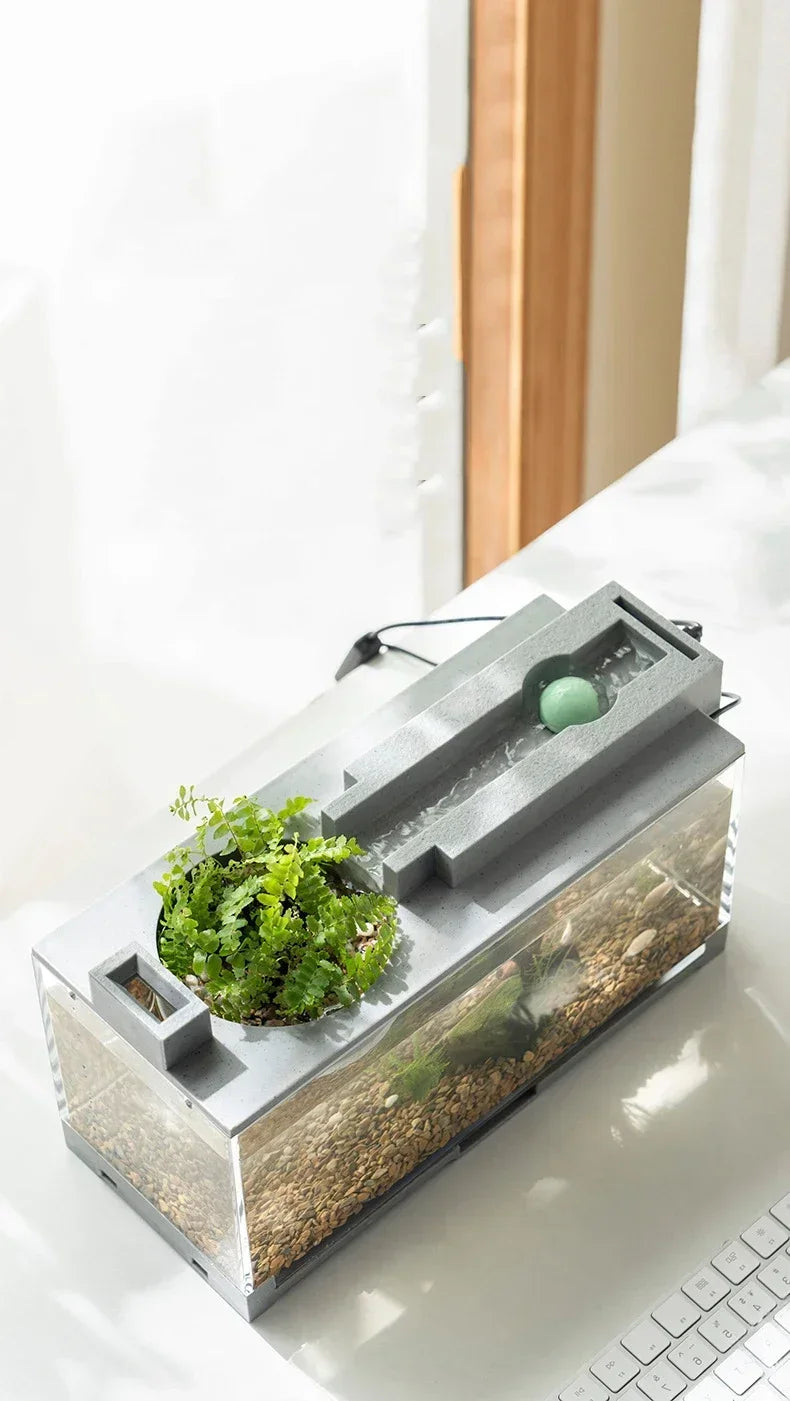 Small Aquarium with Built-in Oxygen Bar
