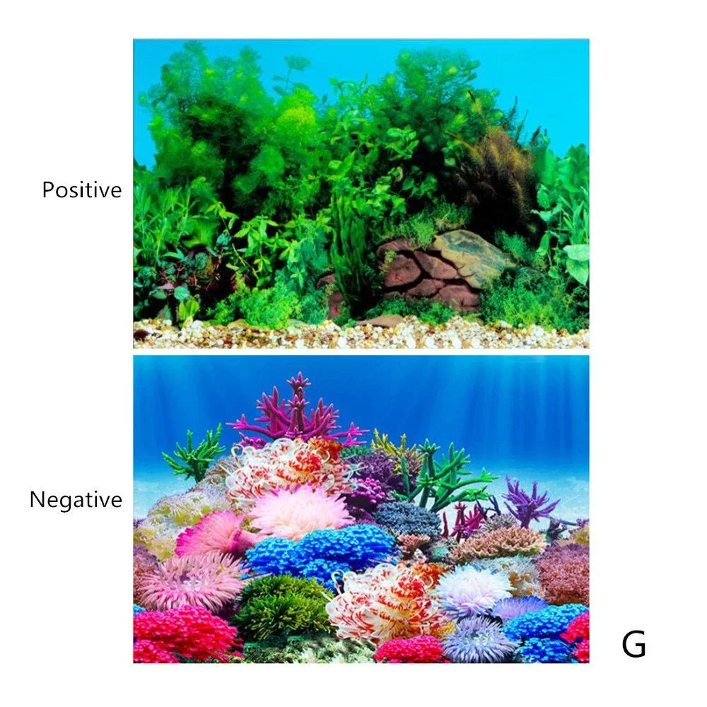 Aquarium Background Sticker