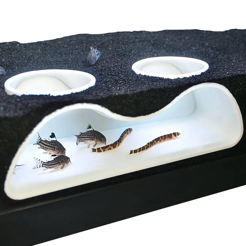 Benthic organisms, underground caves