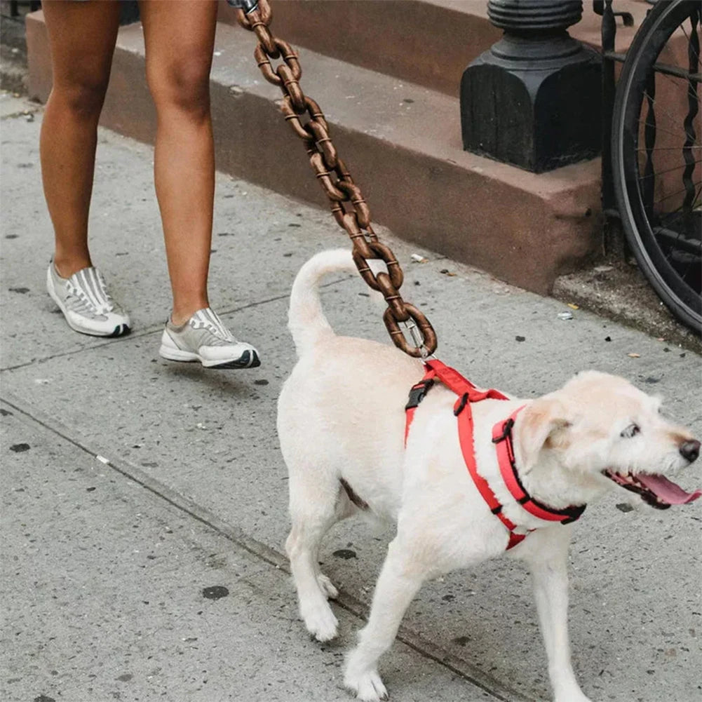 Chain Dog Leashes