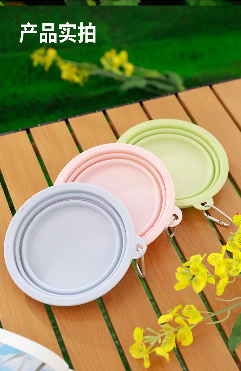 Portable Bowl