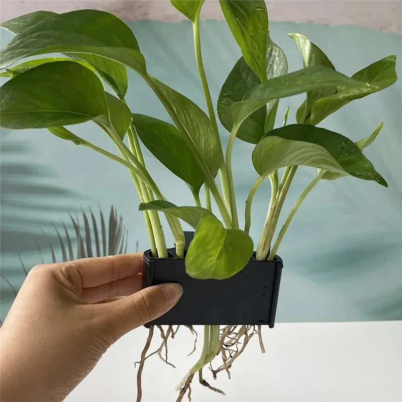 Aquarium Plant Basket