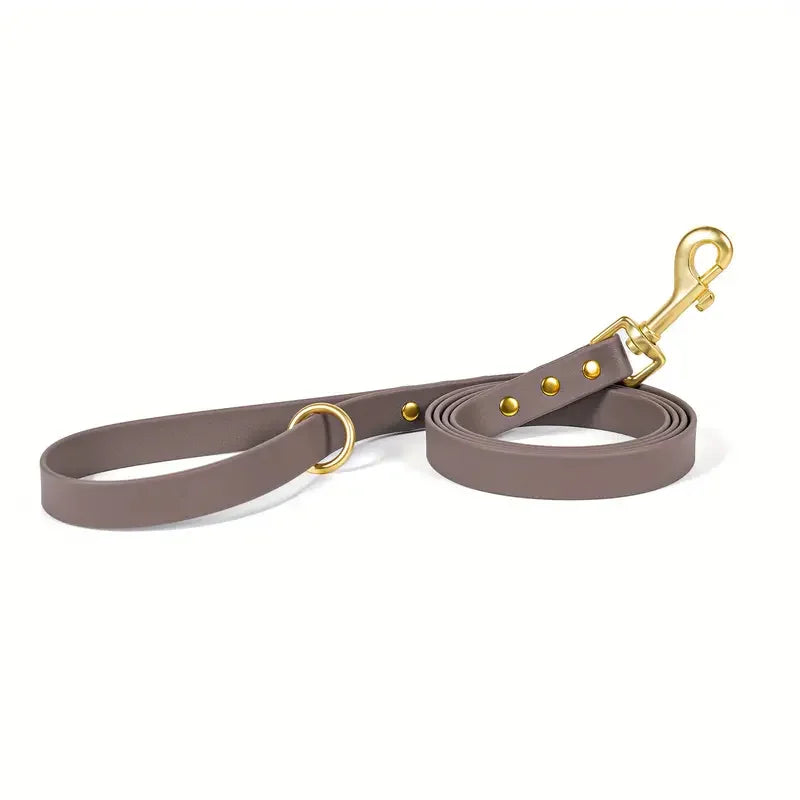 Dog Leash