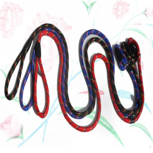 Dog Leash With Comfortable Padded Handle
