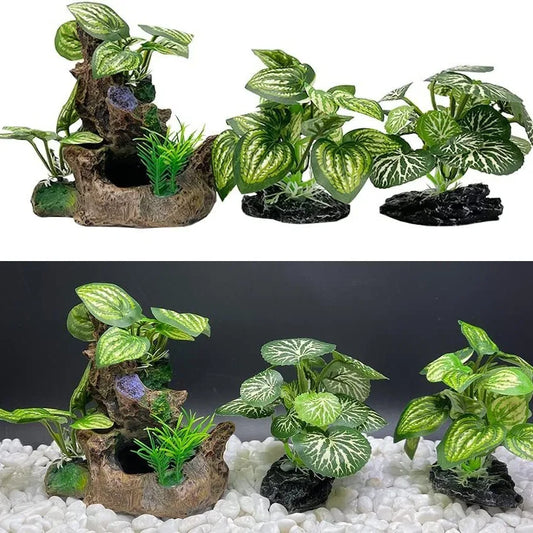 Aquarium  Plants