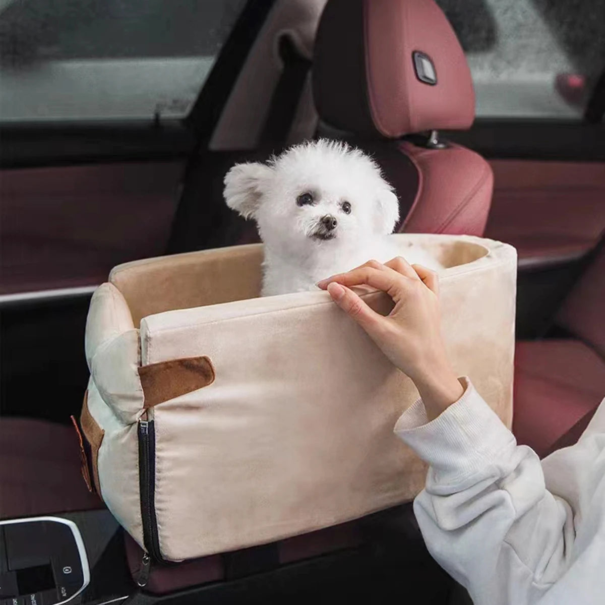 Car Basket