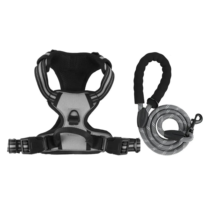 Dog collar, harness