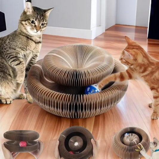 Magic Cat Scratcher & Toy