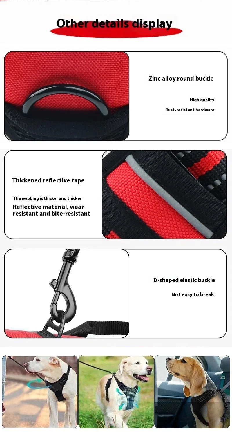 Dog collar, harness