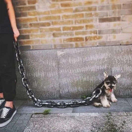 Chain Dog Leashes
