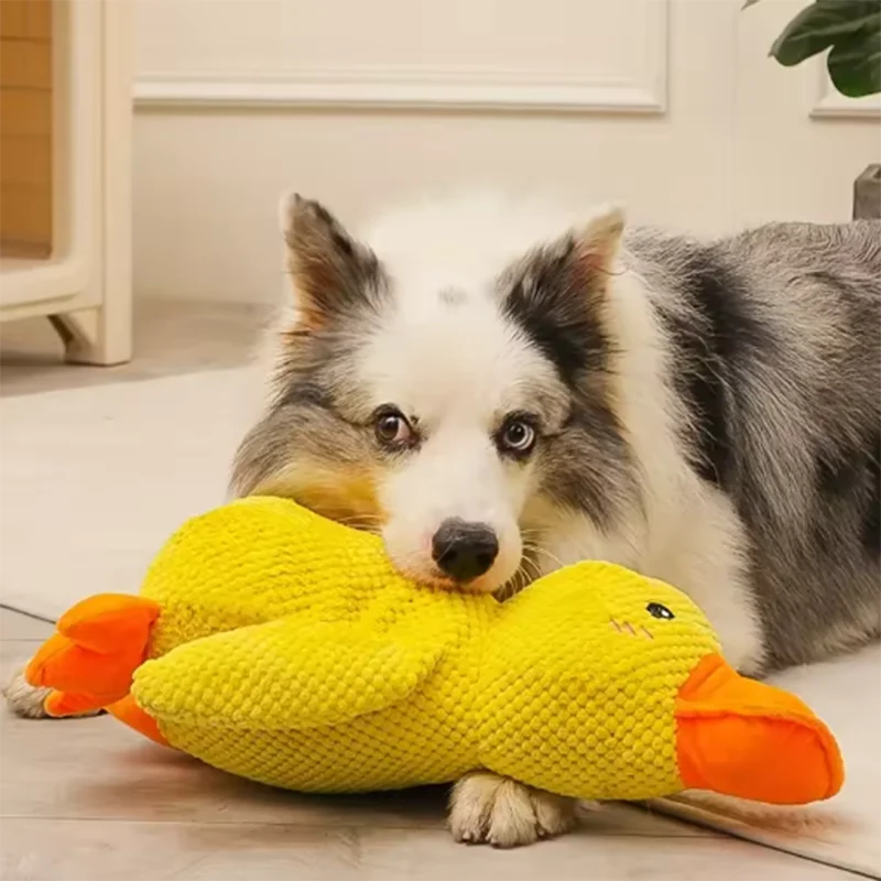 Stomping Duck