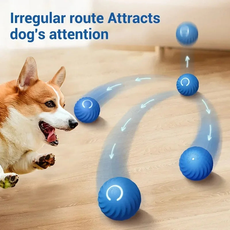 Bouncing Dog Ball