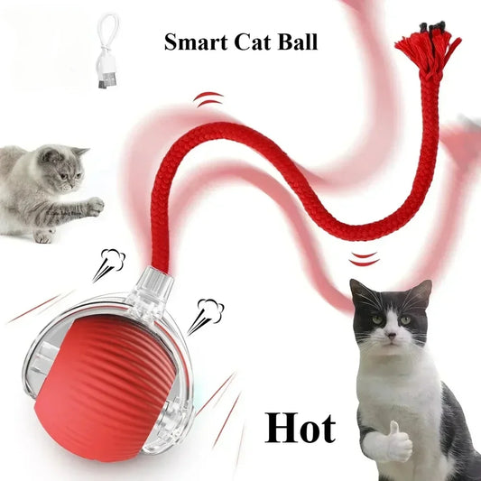 Interactive Toy Ball