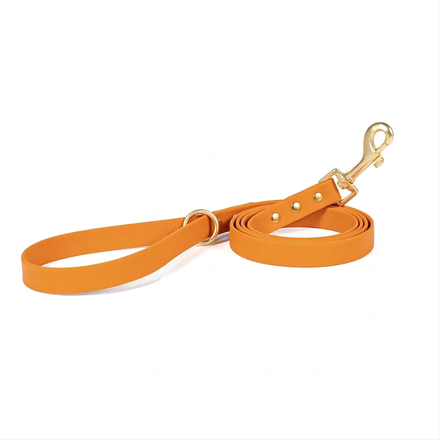 Dog Leash